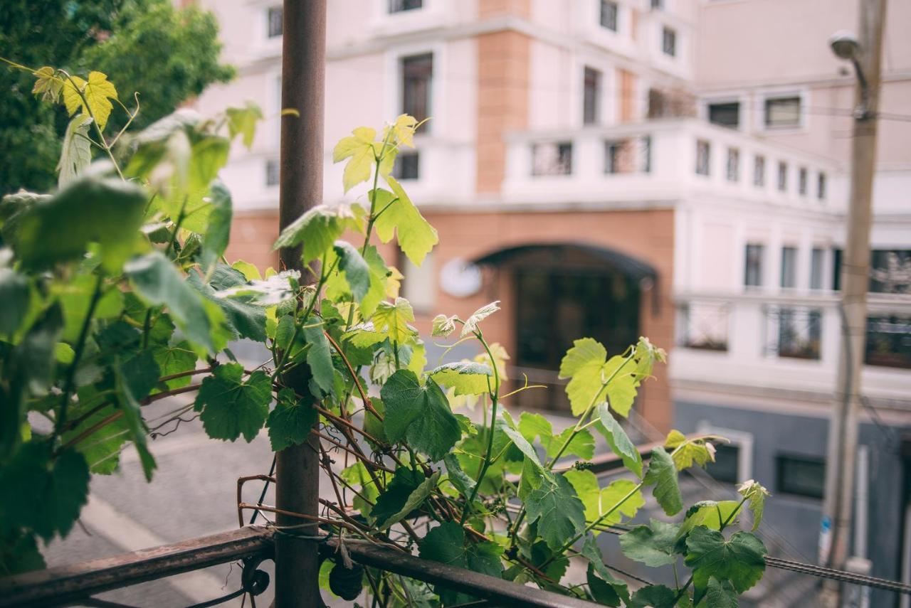 Walk Everywhere! Tbilisi Luaran gambar